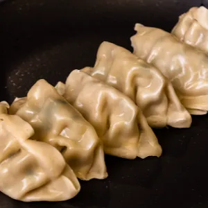 Gefrituurde kip gyoza (5)