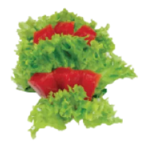 Sashimi Tonijn