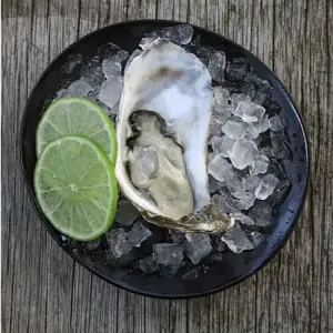 Oester naturel