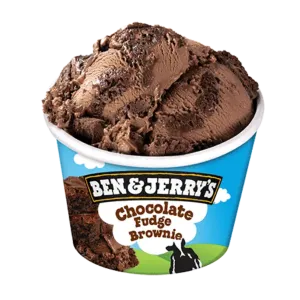 Ben & Jerry's Chocolate Fudge Brownie 100ml
