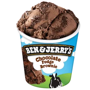 Ben & Jerry's Chocolate Fudge Brownie 465ml