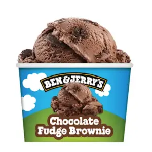 Ben & Jerry's Chocolate Fudge Brownie 100ml