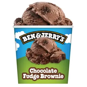 Ben & Jerry's Chocolate Fudge Brownie 465ml