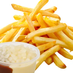 Franse friet speciaal