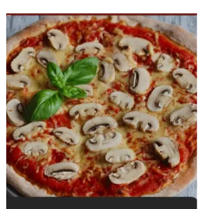 Pizza Funghi