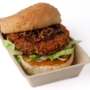 Willy’s Chruncy Chicken Burger (100% kipfilet)