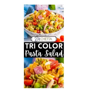 BRICHETTA TRICOLORE PASTA SALADE 1kg va 15,- en/of ( HALAL )