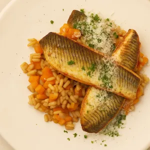 Pietermanfilet met risotto