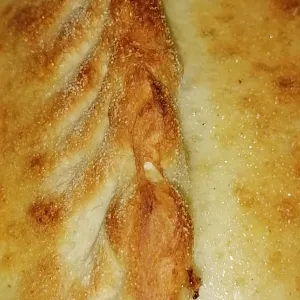 Pizza calzone