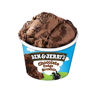 Ben & Jerry's Chocolate Fudge Brownie 100ml