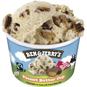 Ben & Jerry's Peanut Butter Cup 100ml