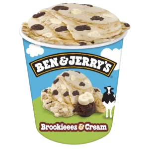 Ben & Jerry's Brookieees & Cream 465ml