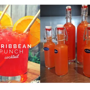 Caribbean Punch Mocktail