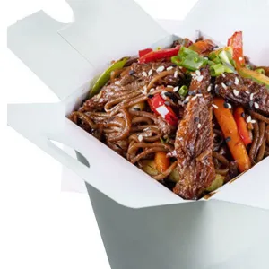 UDON BEEF TERIYAKI (HALAL) ca 450gr