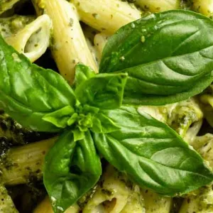 Penne Pesto