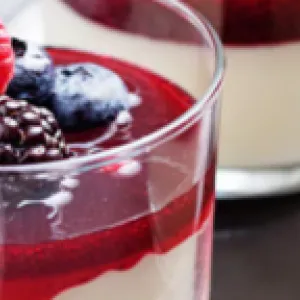 Panna Cotta