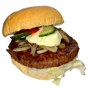 Vega hamburger speciaal
