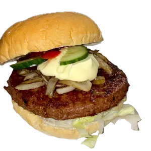 Vega hendo burger