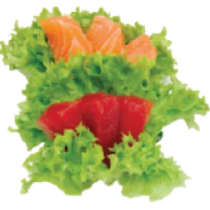 Sashimi Zalm & Tonijn