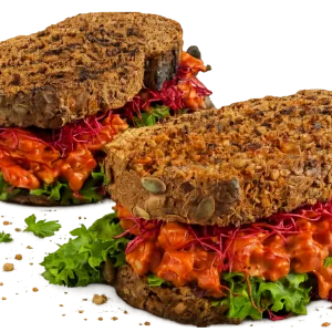 Sandwich Tomato Bliss