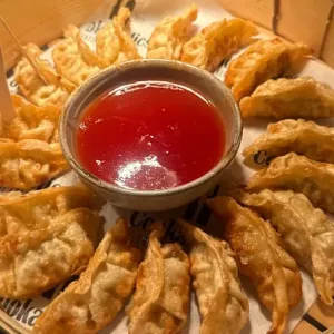 Gyoza's 5 stuks