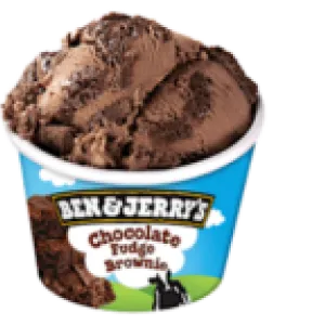 Ben & Jerry's Chocolate Fudge Brownie 100ml