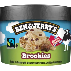 100 ml Ben en Jerry's Brookies