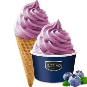 Blueberry Sorbet