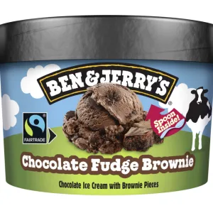 Ben & Jerry's Chocolade Fudge Brownie