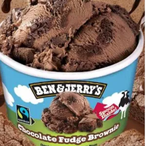 Ben & Jerry's Chocolate fudge brownie