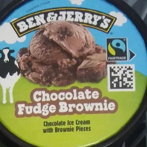 Ben & Jerry's Chocolate Fudge Brownie