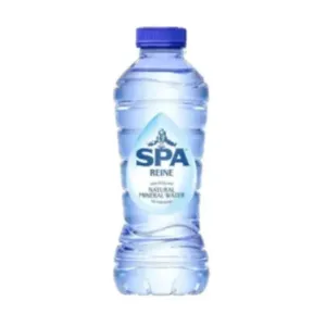 Spa Reine Blauw 500ml