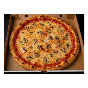 Pizza Funghi