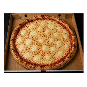 Pizza Mozzarella Special